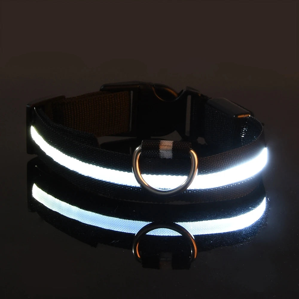 LED Night Safety Collar