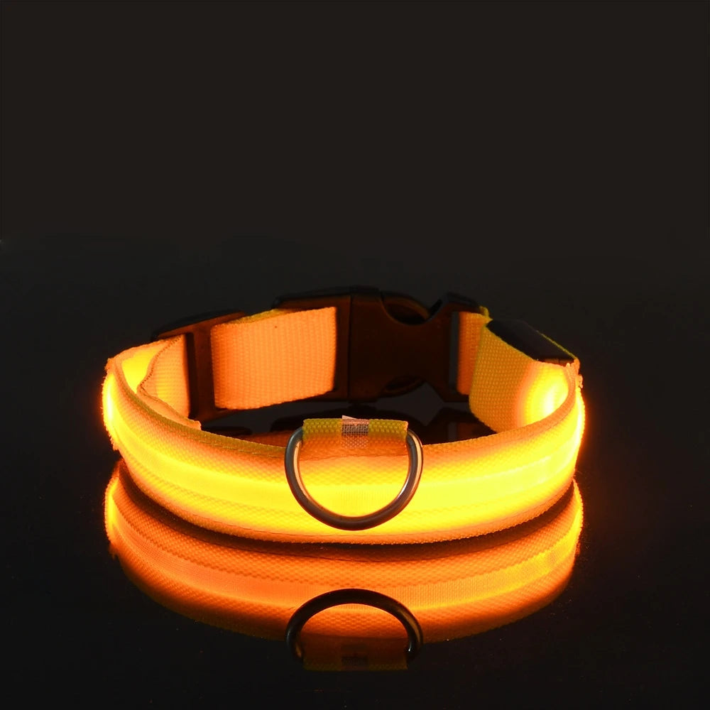 LED Night Safety Collar