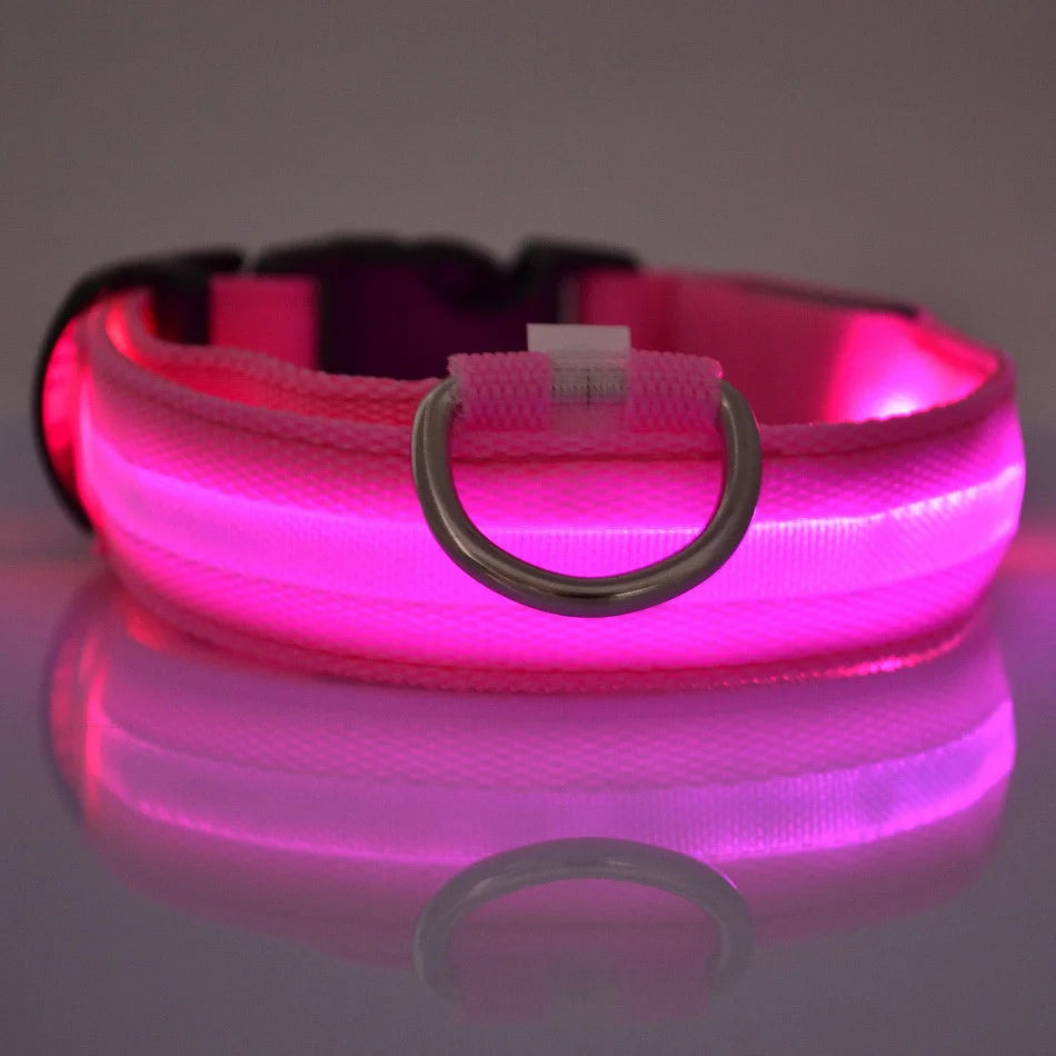 LED Night Safety Collar