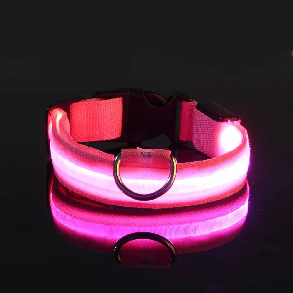 LED Night Safety Collar