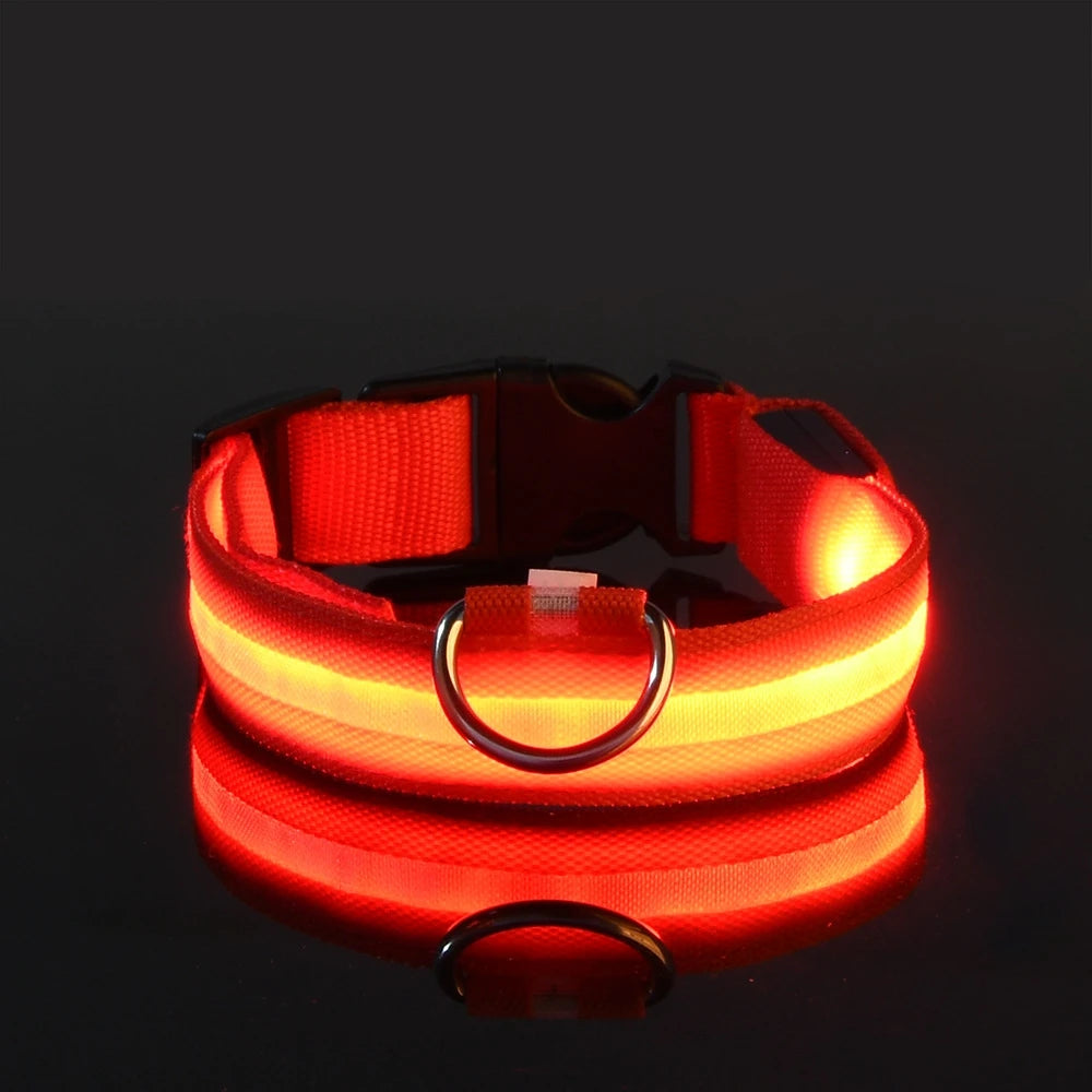 LED Night Safety Collar