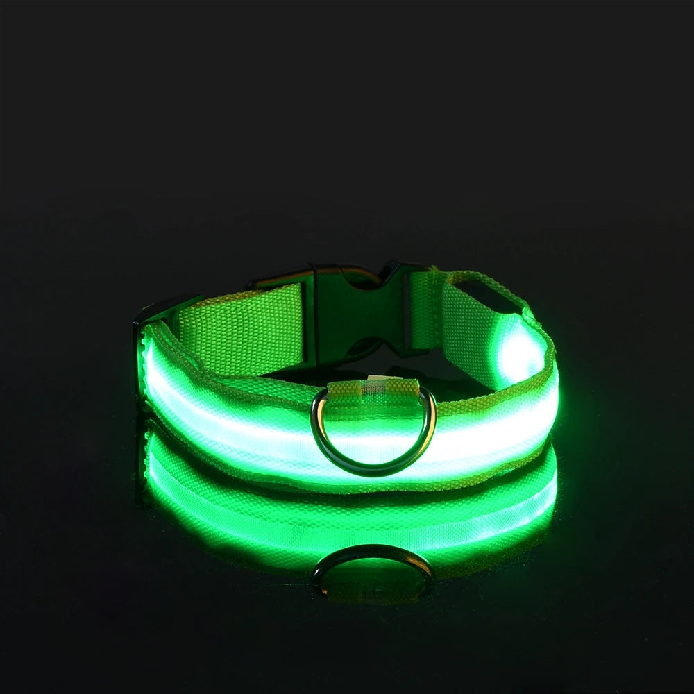 LED Night Safety Collar