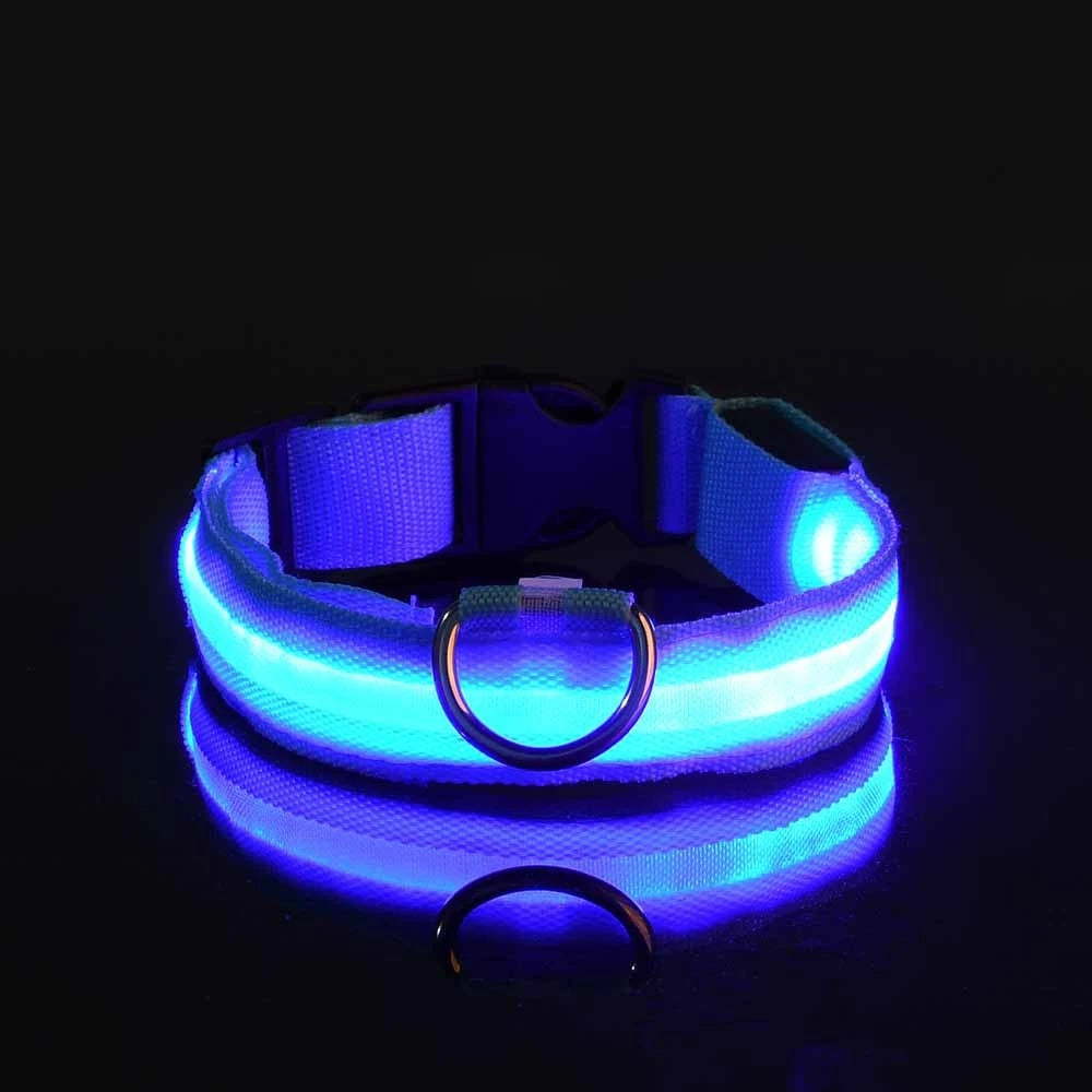 LED Night Safety Collar