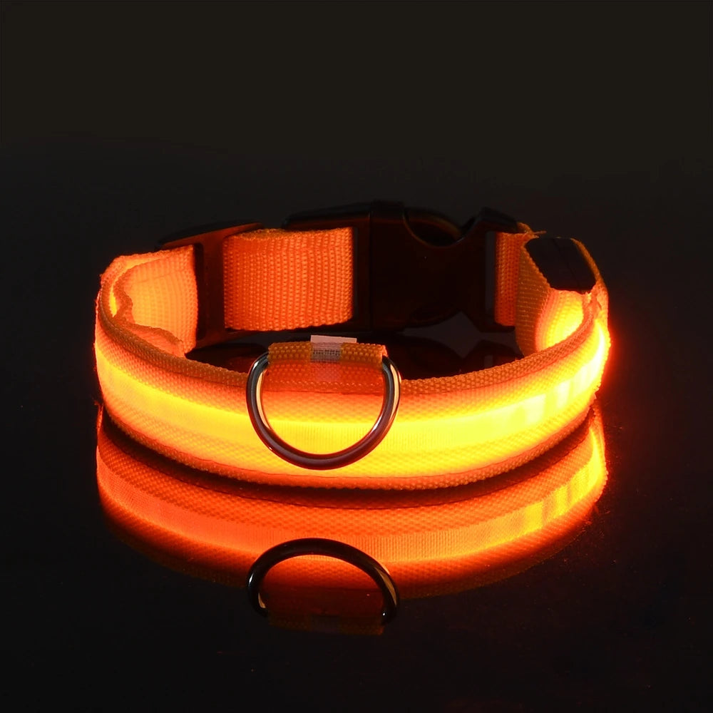 LED Night Safety Collar