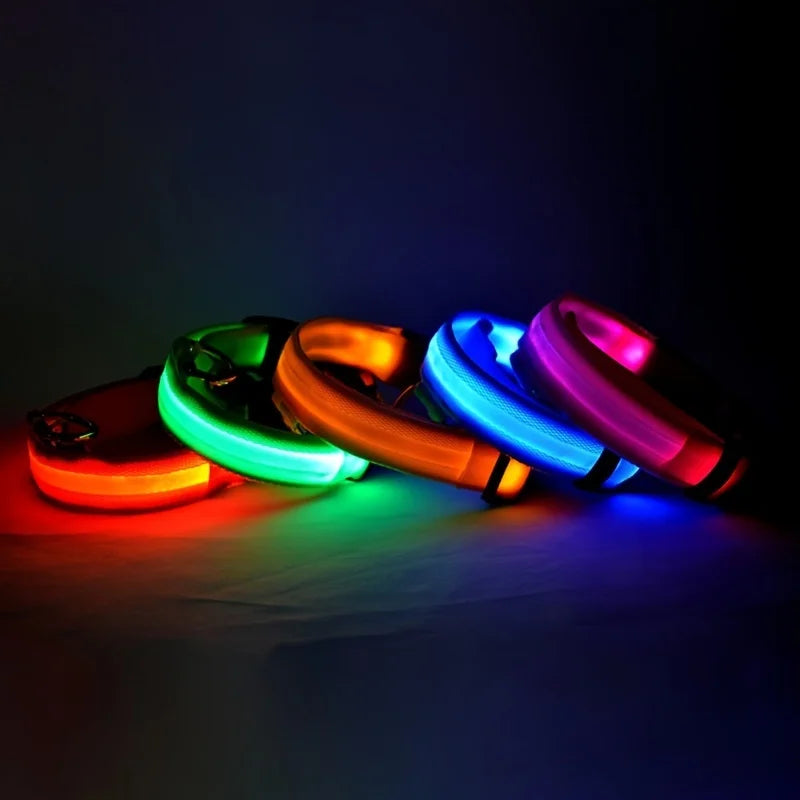 LED Night Safety Collar