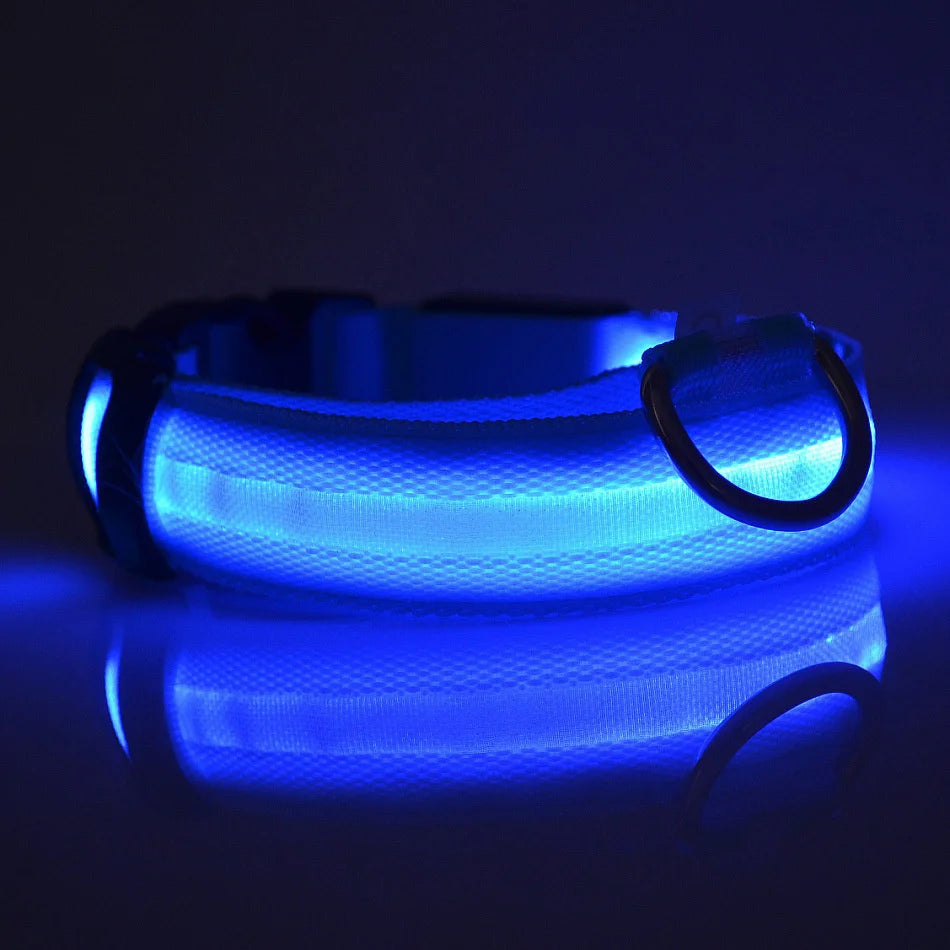 LED Night Safety Collar