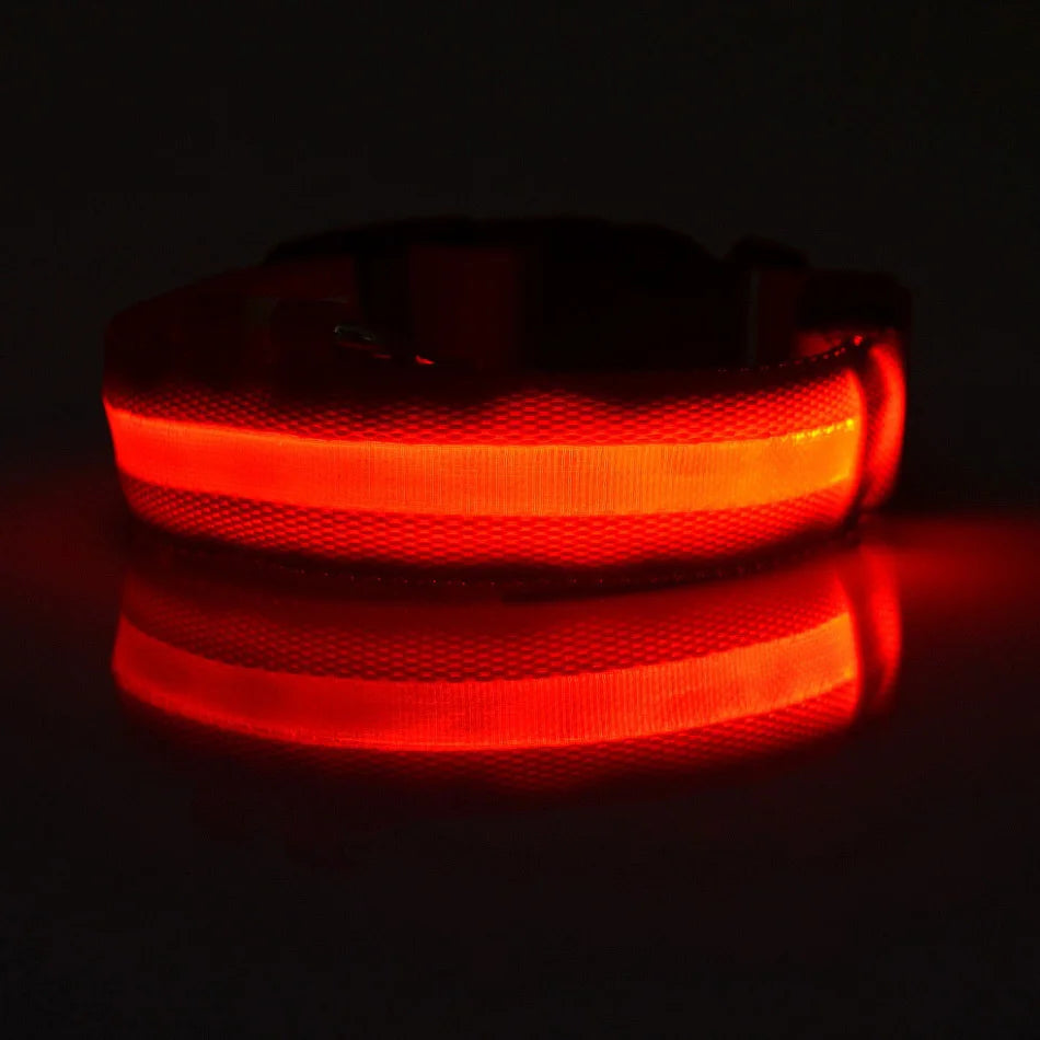 LED Night Safety Collar
